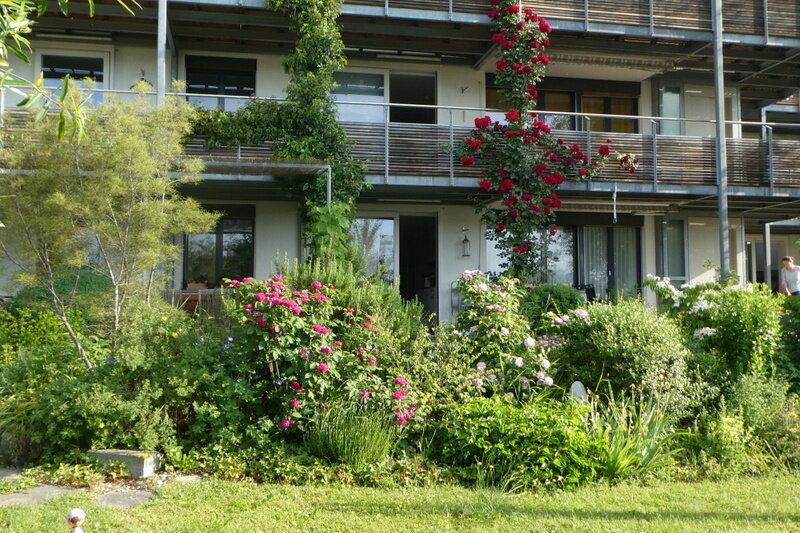 Institution