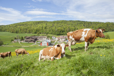Dietisberg