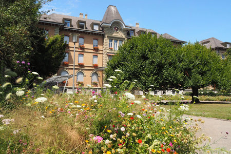 PZM Psychiatriezentrum Münsingen AG