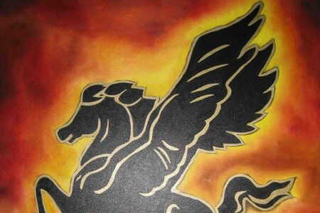Wohnheim Pegasus GmbH