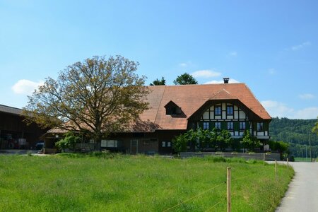 Chinzihof