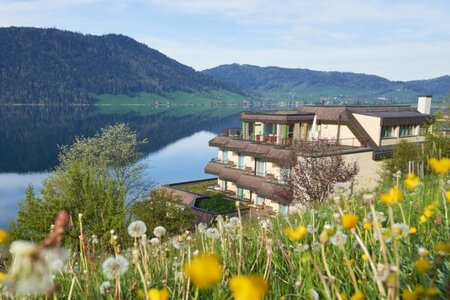 Zentrum Breiten